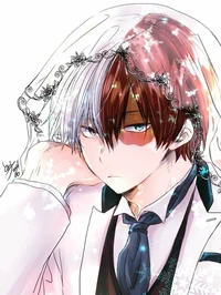 TODOROKI SHOTO