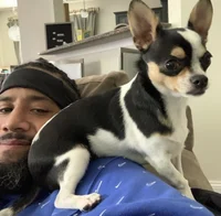 Jimmy Uso