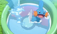 Mudkip