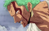 Zoro Husband