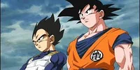 Goku and Vegeta