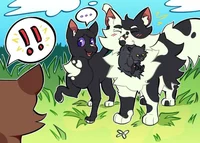 Ravenpaw and Barley