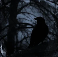 - Vampire Apocalypse