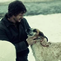 Will Graham Dog