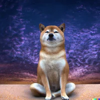 Mistical Shiba Inu