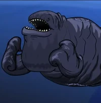 - Robert-Bob Bloop -