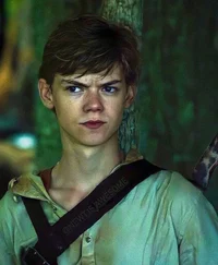 Newt