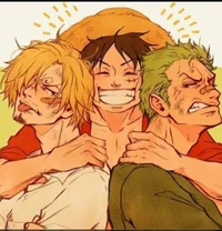 Luffy Zoro e Sanji