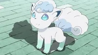 Snowy from pokemon