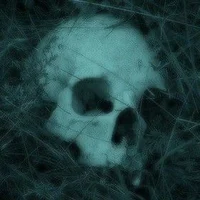 Echo
