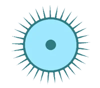 Glueocyte