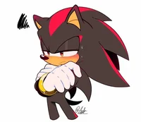 Shadow the hedgehog 
