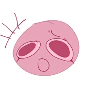 The host interviewer