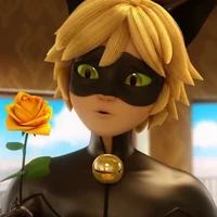 Cat Noir