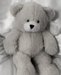 SWEET teddy bear