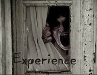 Experience