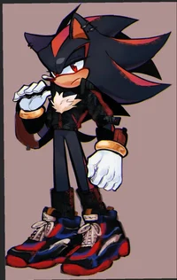 Shadow the hedgehog 