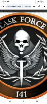 Task force 141