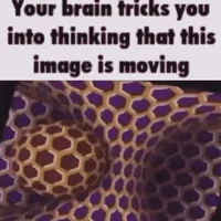 Optical Illusion Bot