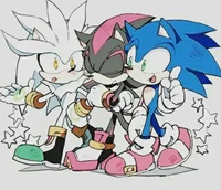 Sonic silver shadow