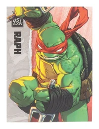 IDW Raphael