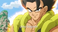 songoku284