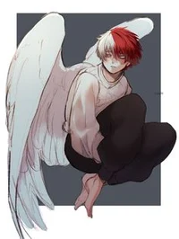 Shoto angel 