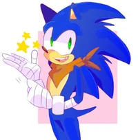 Sonic the hedgehog 