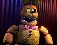 Springbonnie