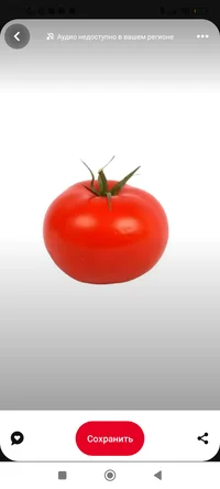 Tomato
