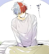 Shoto Todoroki 