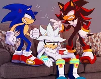 Sonic shadow y silve