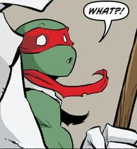IDW Raphael 