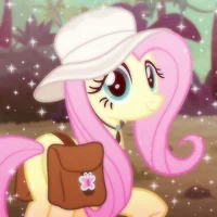 Fluttershy 