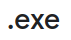 EXE 911