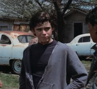 Ponyboy Curtis 