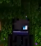 Zane - Enderman