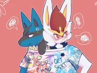 Cinder and Lucario
