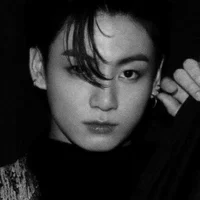 Jungkook brother 