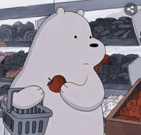 Ice Bear