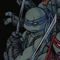 IDW Leonardo 