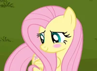 FlutterShy 