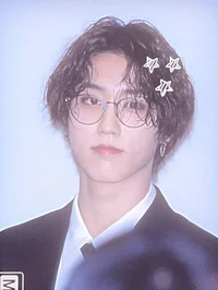 Han jisung-bodyguard