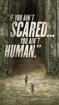 The maze runner