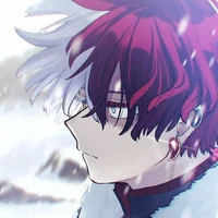 Shoto Todoroki