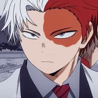 Shoto Todoroki novio