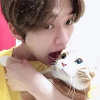 Lee Know or Minho
