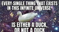 Universal Duck