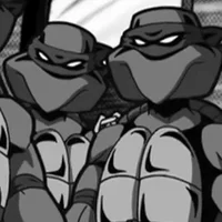 Mirage Don and Mikey