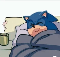 Sonic Sleepover